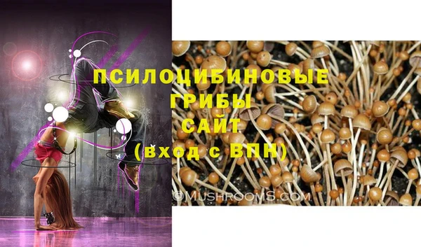первитин Дмитровск