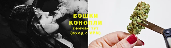 гашик Елизово