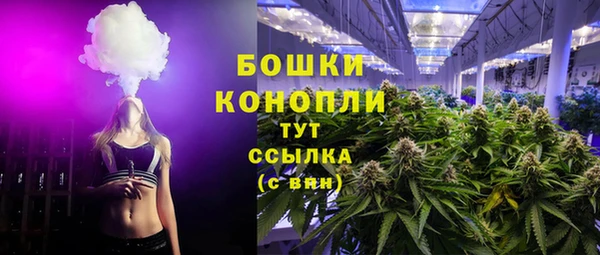 jwh Ельня