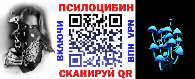 площадка как зайти Рошаль Галлюциногенные грибы прущие грибы